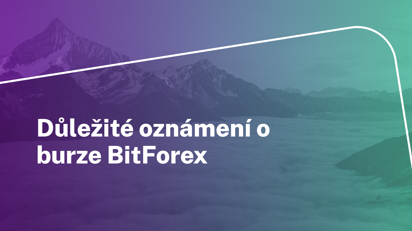 Důležité oznámení o burze BitForex
